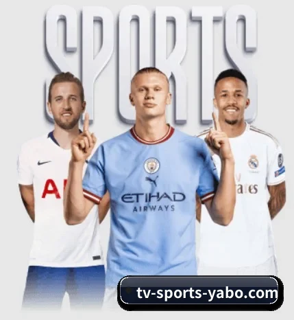 五个功能入口,赛程查询路径更短（Yabo）